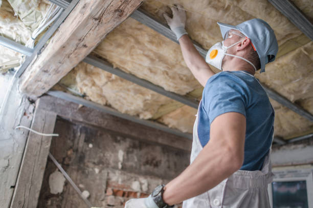 Best Eco-Friendly Insulation in Burton, SC